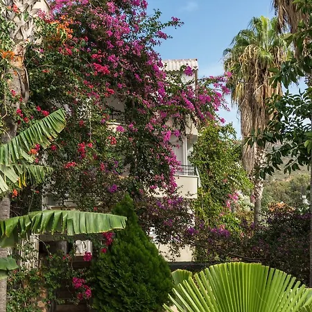 Pataros Hotel Patara