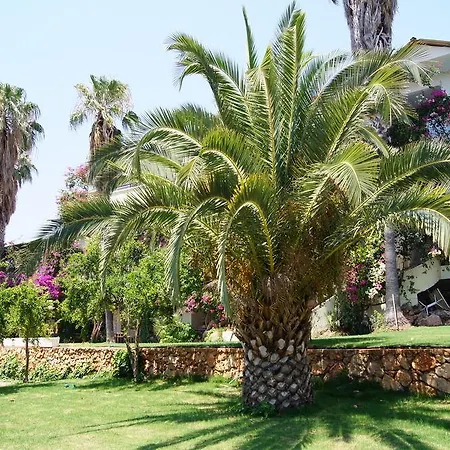 Pataros Hotel 2*