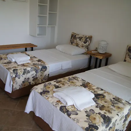 Pataros 2* パタラ