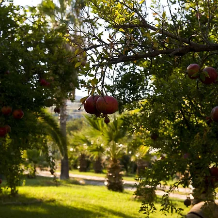 Pataros ホテル 2*