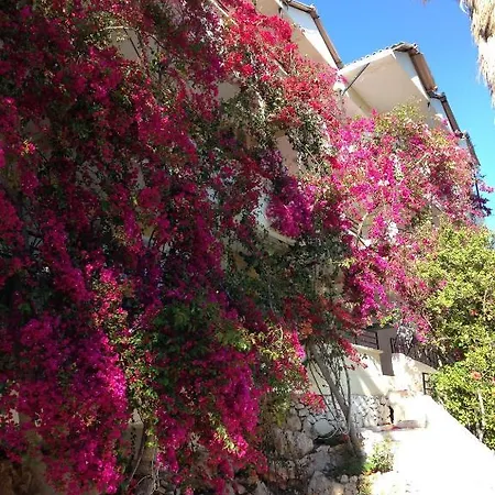 Pataros Hotel 2*