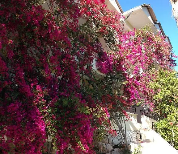 Pataros Hotel Hotel 2*