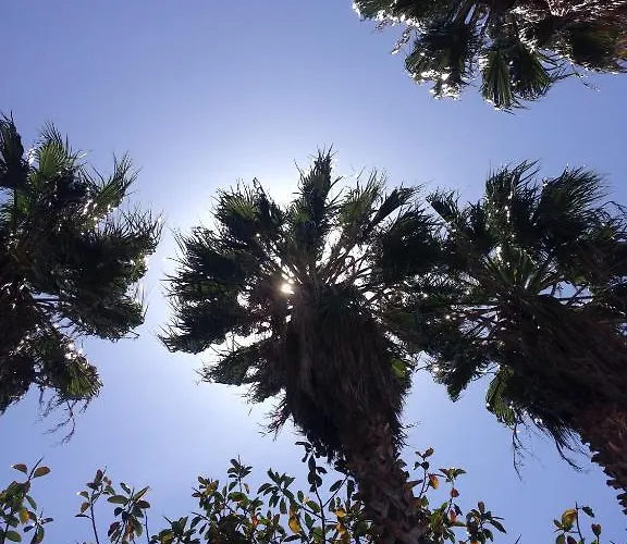 Pataros Hotel Patara