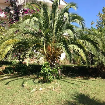 Pataros Szálloda Patara